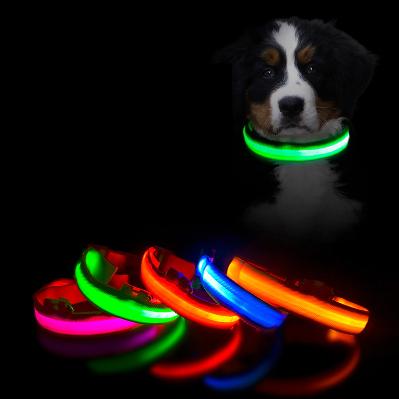 Colar de Led para Pets